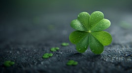 Explore 25,742+ Free Four Leaf Clover Illustrations: Download Now - Pixabay