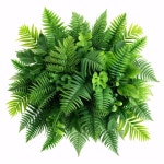 100개 이상 무료 풍요로 움 및 Ai 생성 일러스트레이션 - Pixabay