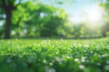 Download Park, Greenspace, Green Space. Royalty-Free Stock Illustration Image - Pixabay Download Park, Greenspace, Green Space.... 