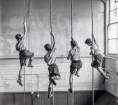 Explore 1,091+ Free Physical Illustrations: Download Now - Pixabay