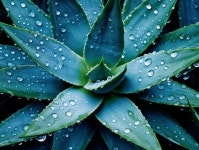 200,000+ Free Ais & Ai Generated Images - Pixabay