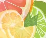 400 + 무료 Grapefruit & 그레이프 프루트 이미지 - Pixabay