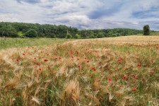 Rural Landscape - Free photo on Pixabay - Pixabay Rural Landscape - Free photo on Pixabay