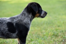 joolsthegreat - Pixabay Download free media from joolsthegreat | Pixabay