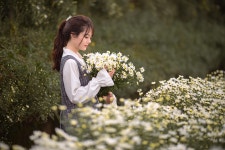 멋진 무료 사진들 - Pixabay