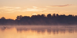 해돋이 아침 안개 기분 - Pixabay의 무료 사진