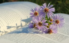 Book Flowers Purple - Free photo on Pixabay