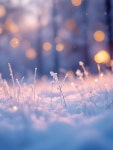 70,000+ Free Snow Flower & Nature Images - Pixabay