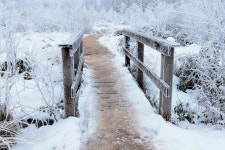 Road Pathway Snow - Free photo on Pixabay