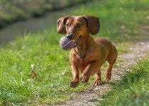 Page 8 - 10,000+ Free 공 & Ball Images - Pixabay