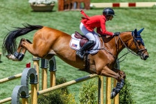 말 내기 자연 - Pixabay의 무료 사진