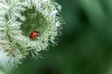 40,000+ Free Hd & Hd Wallpaper Photos - Pixabay