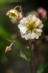 2 + 무료 유달 & 목포 이미지 - Pixabay