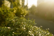 10,000+ Free Calm Road & Road Images - Pixabay