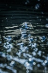 Water Waves Macro - Free photo on Pixabay