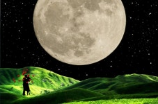 Kisses Videos: Download 39+ Free 4K & HD Stock Footage Clips - Pixabay