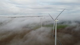 2,000 + 무료 녹색 & 녹색 화면 동영상, HD & 4K 영상 - Pixabay