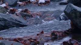 River Relaxing Sounds Videos: Download 11,304+ Free 4K & HD Stock Footage Clips - Pixabay