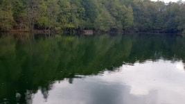 Secrets Videos: Download 36+ Free 4K & HD Stock Footage Clips - Pixabay