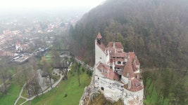 100 + 무료 트 랜 & 해안 동영상, HD & 4K 영상 - Pixabay