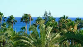 Have Videos: Download 19+ Free 4K & HD Stock Footage Clips - Pixabay