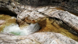 Rapid Videos: Download 193+ Free 4K & HD Stock Footage Clips - Pixabay