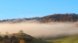 Morning Sun Videos: Download 2,986+ Free 4K & HD Stock Footage Clips - Pixabay