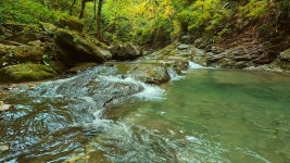 7,000 + 무료 River & 강 동영상, HD & 4K 영상 - Pixabay