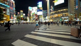 Crosswalk Videos: Download 32+ Free 4K & HD Stock Footage Clips - Pixabay