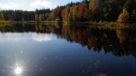 Moored Videos: Download 37+ Free 4K & HD Stock Footage Clips - Pixabay