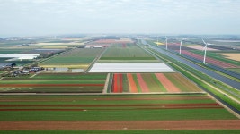 Polders Videos: Download 7+ Free 4K & HD Stock Footage Clips - Pixabay