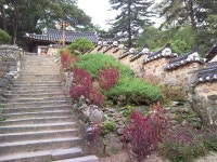 충남 공주 마곡사 풍경입니다. #2 - 뽐뿌:자유갤러리 충남 공주 마곡사 풍경입니다. #2