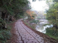충남 공주 마곡사 풍경입니다. #2 - 뽐뿌:자유갤러리 충남 공주 마곡사 풍경입니다. #2