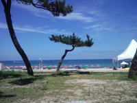 강릉다녀왔네요 - 뽐뿌:자유갤러리 강릉다녀왔네요