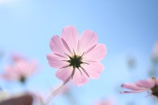 광주->담양->순창 - 뽐뿌:자유갤러리 광주->담양->순창