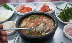 돼지국밥입니다. - 뽐뿌:자전거포럼 돼지국밥입니다.