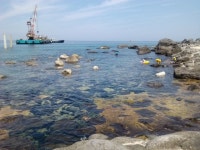 울릉도 솔로 백패킹 이야기 - 두번째 (손발퇴갤 주의요망) - 뽐뿌:캠핑포럼 울릉도 솔로 백패킹 이야기 - 두번째 (손발퇴갤 주의요망)