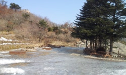 앞전 사진에 반응이 좀 있어서 속리산 산행기 풀버전 올려 봅니다. - 뽐뿌:자유갤러리 앞전 사진에 반응이 좀 있어서 속리산 산행기 풀버전 올려... 