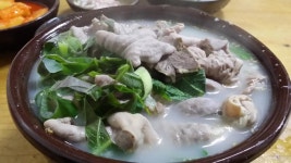 실시간 거제 충남식당 내장국밥 - 뽐뿌:맛집포럼 실시간 거제 충남식당 내장국밥