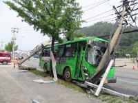전봇대 쯤이야... - 뽐뿌:자유갤러리 전봇대 쯤이야...