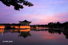 야경사진의 기본, 경주 안압지의 야경... - 뽐뿌:자유갤러리 야경사진의 기본, 경주 안압지의 야경...