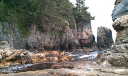 뽐뿌:자유갤러리 - 동해 감추사 인근 숨겨진 비경 동해 감추사 인근 숨겨진 비경