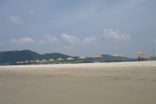 증도 짱뚱어 해변 - 뽐뿌:자유갤러리 증도 짱뚱어 해변