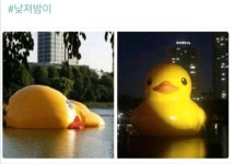 낮져밤이 러버덕님 - 뽐뿌:캠핑포럼 낮져밤이 러버덕님