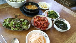 일산 쭈꾸미 - 뽐뿌:자유갤러리 일산 쭈꾸미