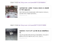 뽐뿌:동식물포럼 - 너무 아픈 청실이 홍실이 길냥이들을 위해 스크랩했습니다. 너무 아픈 청실이 홍실이 길냥이들을 위해 스크랩했습니다.