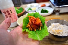 14.12.10 한라산(영실-남벽분기점-돈내코 원앙폭포) - 뽐뿌:등산포럼 14.12.10 한라산(영실-남벽분기점-돈내코 원앙폭포)