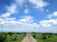 오늘 먹고올것 적어봅니다 ㅎㅎ - 뽐뿌:자전거포럼 오늘 먹고올것 적어봅니다 ㅎㅎ
