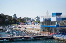 간절곶 - 뽐뿌:자유갤러리 간절곶