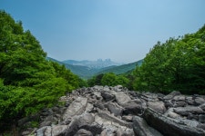 부산 봄, 여름 산행 - 뽐뿌:자유갤러리 부산 봄, 여름 산행
